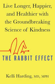 rabbit rabbit