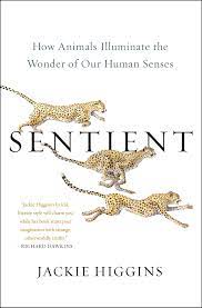 sentient