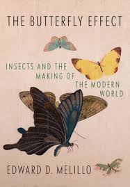 the-butterfly-effect